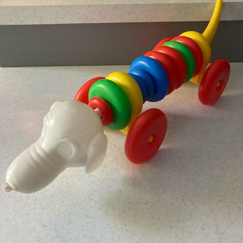 Chien avec. 11 anneaux