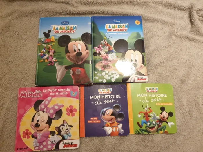 Livres la maison de mickey