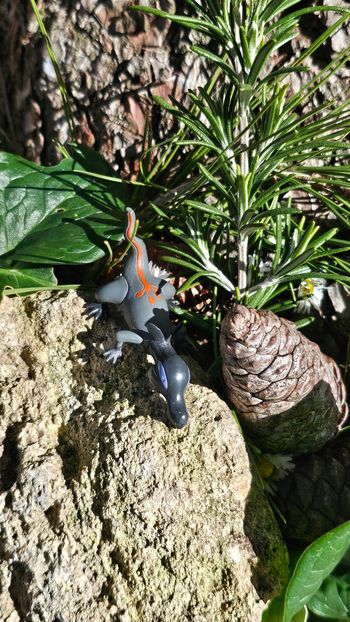 Super figurine Pokemon Nintendo tritox 