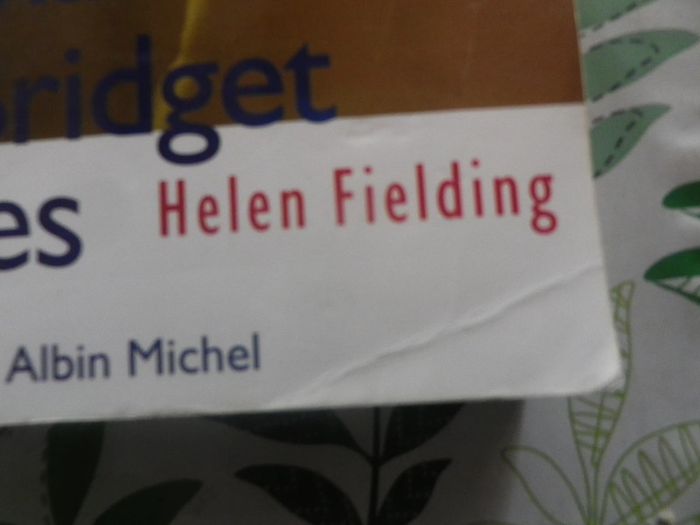 Le journal de Bridget Jones d'Helen Fielding Ed. Albin Michel - photo numéro 2