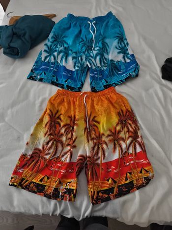 2 Short de plage homme