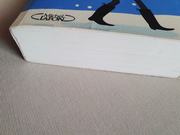 Livre Aurélie Laflamme T7 - photo numéro 7