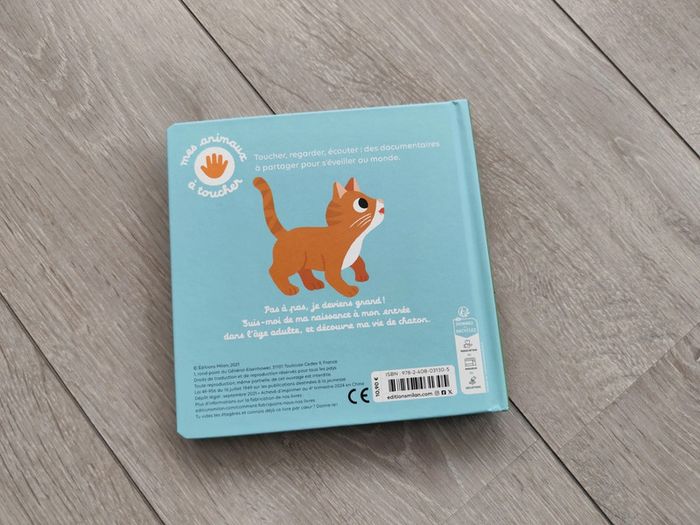 Le chat - photo numéro 3