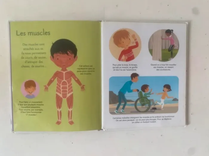 Lot ou unité - Livre : La petite imagerie - Le corps humain & Les bébés animaux - photo numéro 3