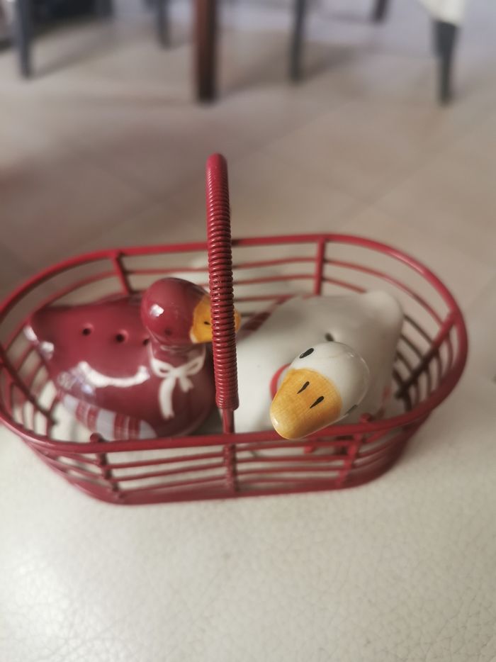 Salière et poivrière canards tout mignon