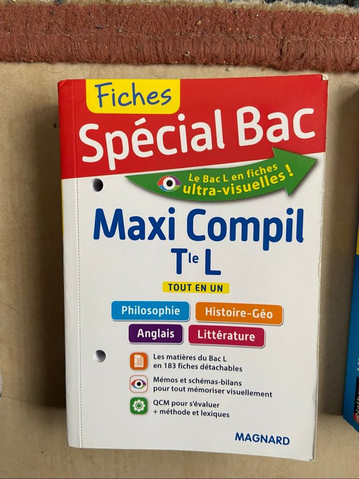 Lots de livres bac - photo numéro 3