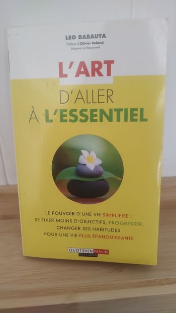 Livre développement personnel – L’art d’aller à l’essentiel – Comme neuf