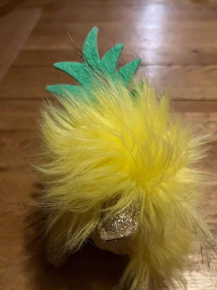 Canard coin-coin ananas - photo numéro 2