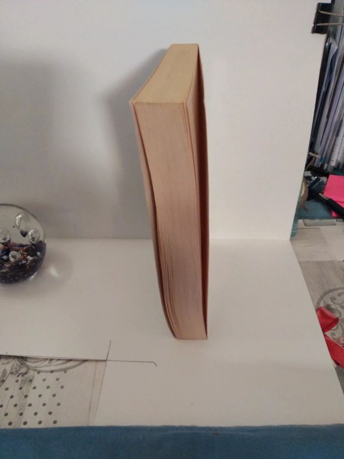 Soleil levant - photo numéro 3