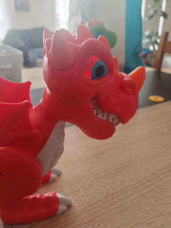 Petit dragon - photo numéro 2