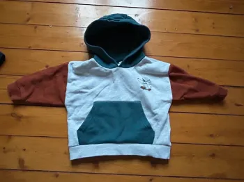 Pull à capuche 24 mois