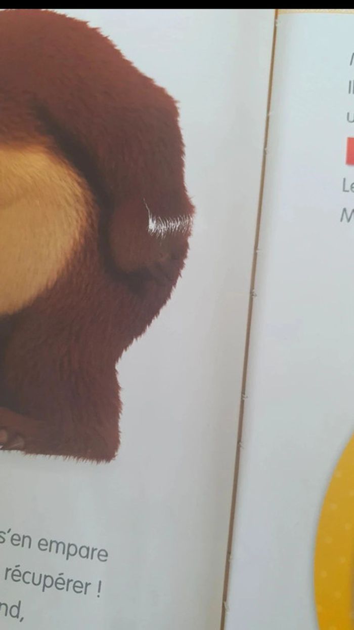 Livre masha et michka - photo numéro 9