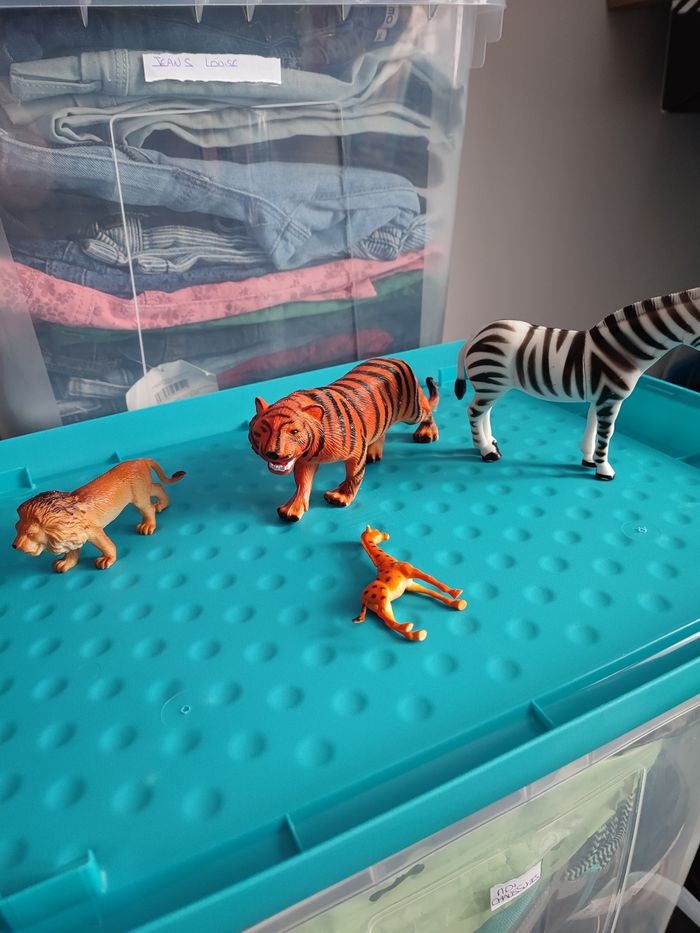 Lot animaux - photo numéro 2