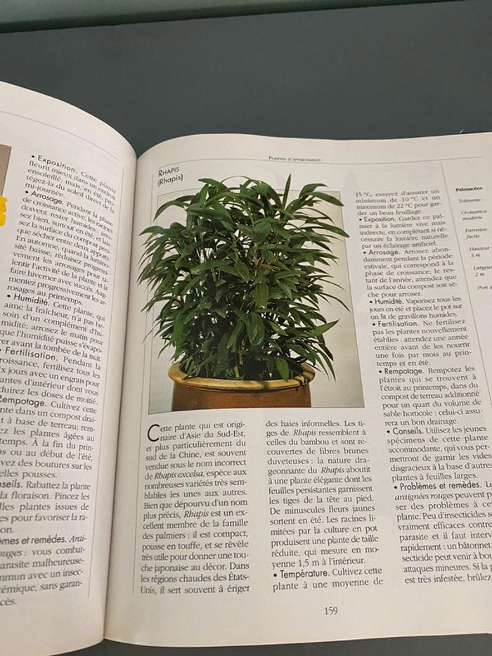 Encyclopédie des plantes d’appartement - photo numéro 2