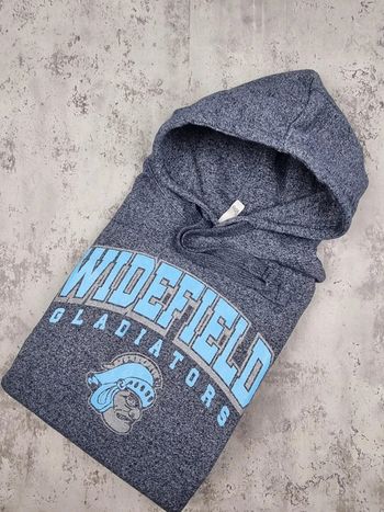 Pull capuche universitaire bleu/gris, M Hommes