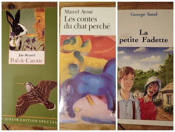 Lot de 3 livres "Jeunesse"