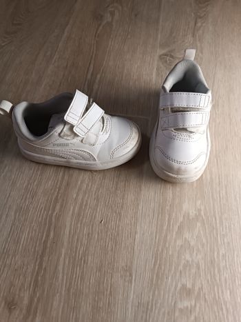 Basket puma