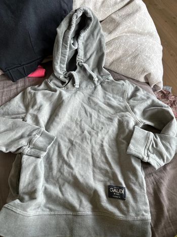 Sweat Gaudi 3 ans