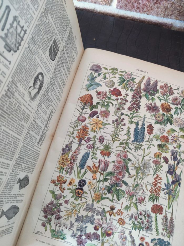 Encyclopédie Larousse illustré - Livre ancien - photo numéro 2