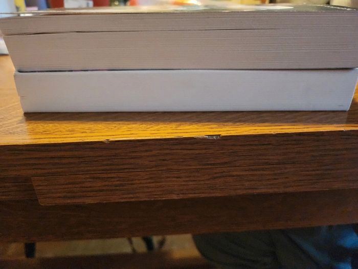 Livres "Out of Control" et " Break the Rules " - photo numéro 3