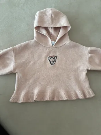 Pull à capuche Disney