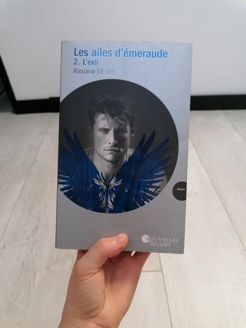 Les Ailes d'émeraude tome 2 l'exil