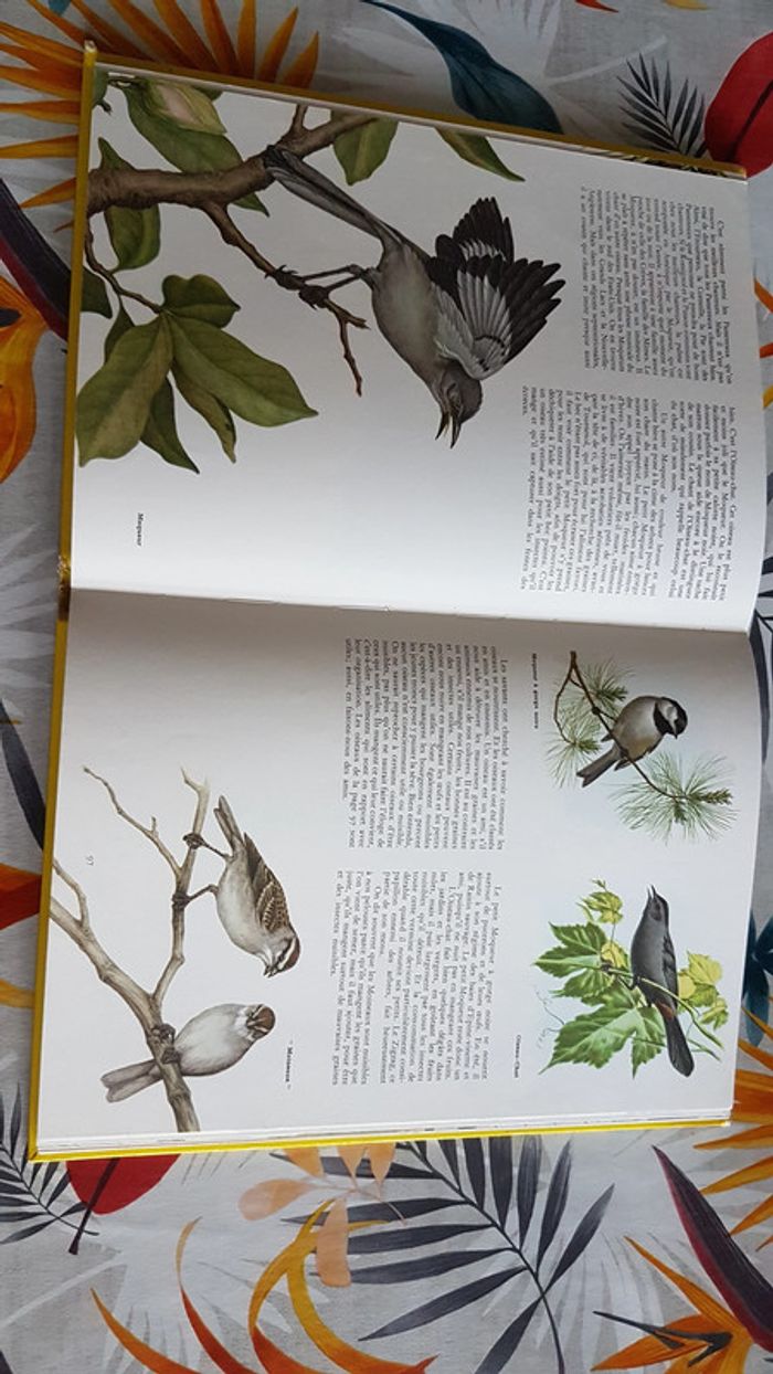 Les merveilles de la nature - photo numéro 6