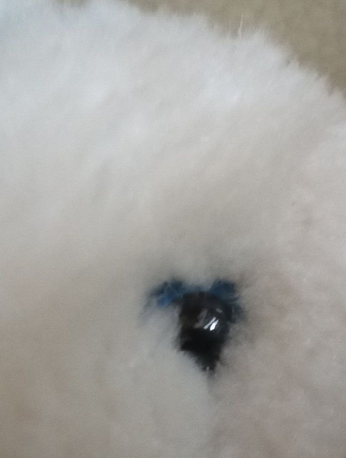 Doudou peluche  lapin blanc bleu clair  Pampers vintage rayé  rayures nez bleu - photo numéro 8
