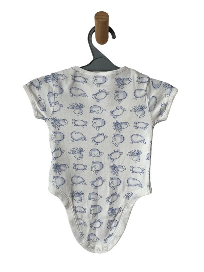 LOT de 4 bodies à manches courtes - Early days 68cm - photo numéro 10