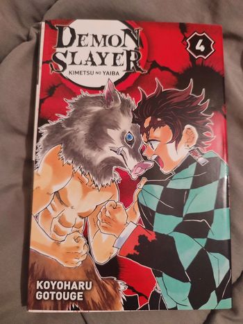 Démon slayers 4