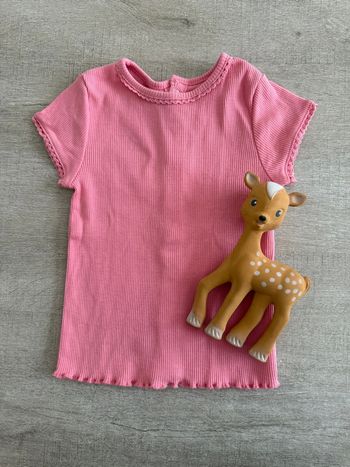 Tee shirt 12 mois