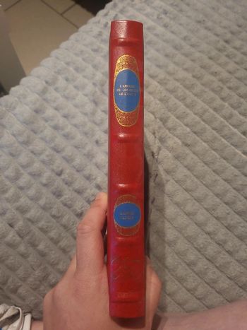 L'affaire du courrier de lyon. Livre deuxième