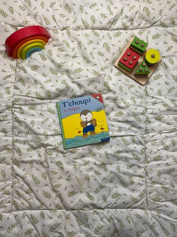 livre t'choupi se baigne numéro 11