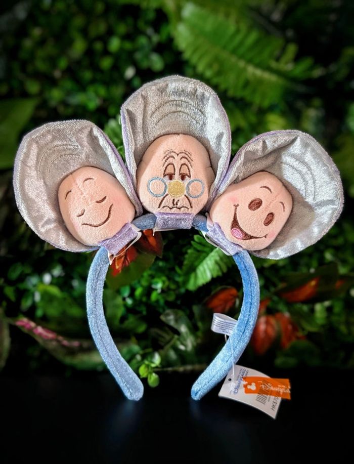 Ears petites huîtres curieuses neuf