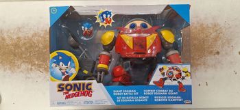 Sonic the hedgehog