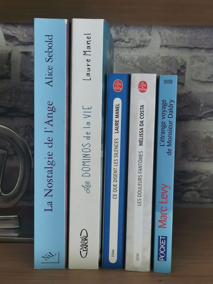 Les dominos de la vie, La nostalgie de l'ange, Les douleurs fantômes , L'Étrange voyage de Monsieur Daldry - photo numéro 3