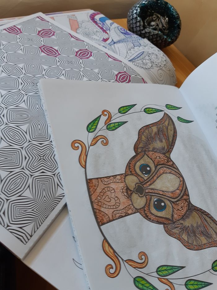 Lots de magazine de coloriages - photo numéro 2