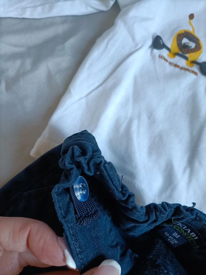 Ensemble Lions - photo numéro 5