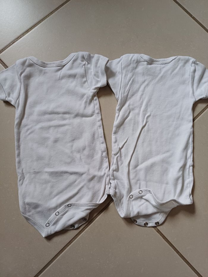 2 bodies manches courtes Petit bateau  12 mois - photo numéro 4