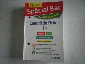 FICHES SPECIAL BAC
