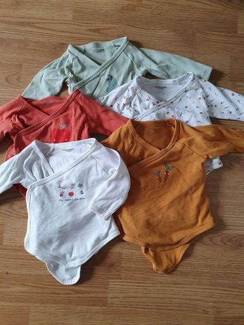 Lot 5 bodies vertbaudet 9 mois