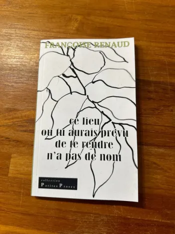 Livre ce lieu où tu aurais prévu de te rendre, n’a pas de nom