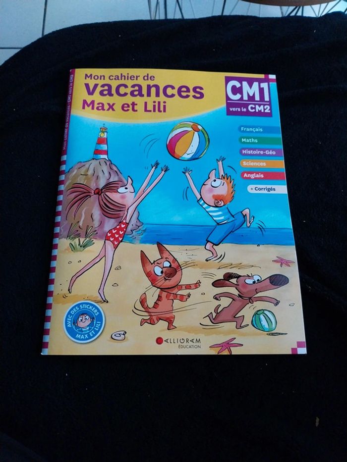 Cahier de vacances cm1/cm2