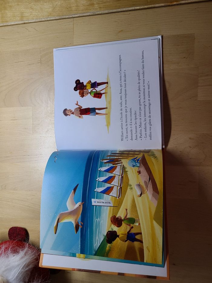 Petit tour en baie de somme - photo numéro 6