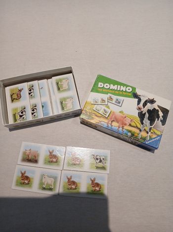 Domino