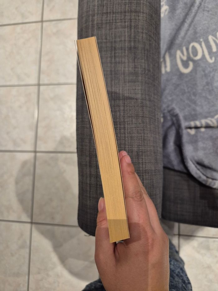 Livre "voyage au pays du coton" - photo numéro 3