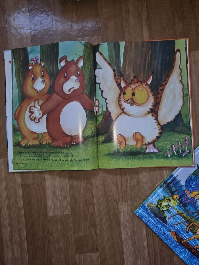 Livres enfants Sakasavon - photo numéro 6