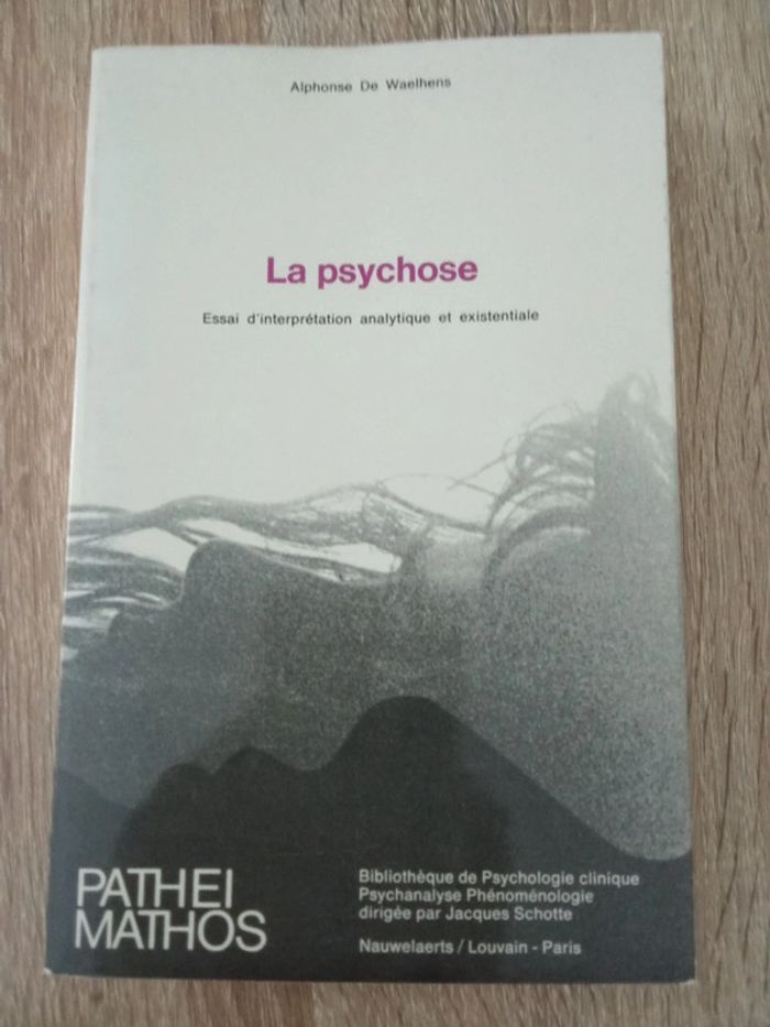 Alphonse De Waelhens 🪅 La psychose - photo numéro 1