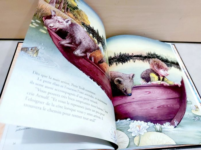 📚 Livre : Petit troll - photo numéro 4