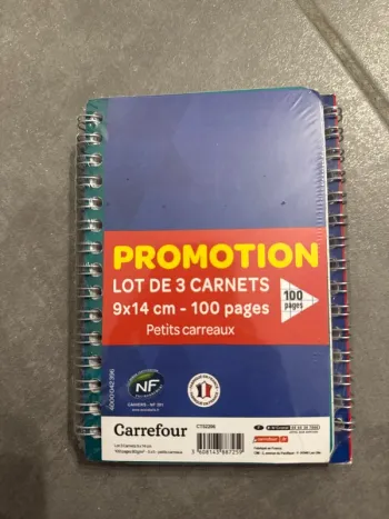 Lot de 3 carnets 9x14 cm 100 pages petits carreaux